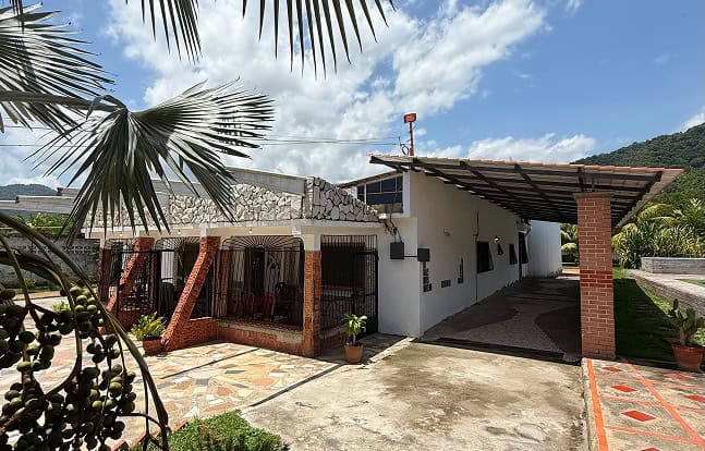 Pohled na dům Planet Patanemo s terasou a palmami, ideální místo pro relaxaci v přírodě.