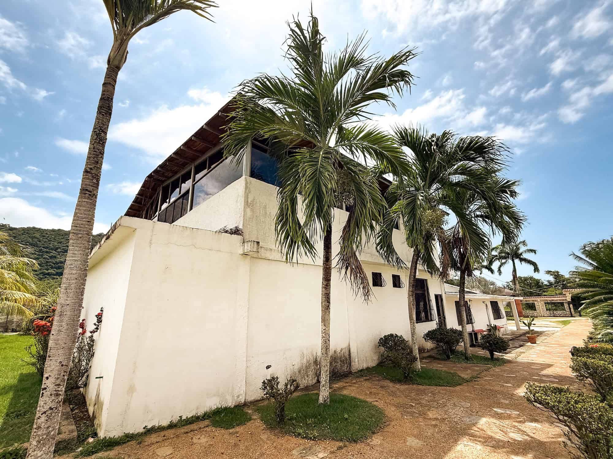 Exteriér Planet Patanemo s palmami a zelení. Explore Venezuela!