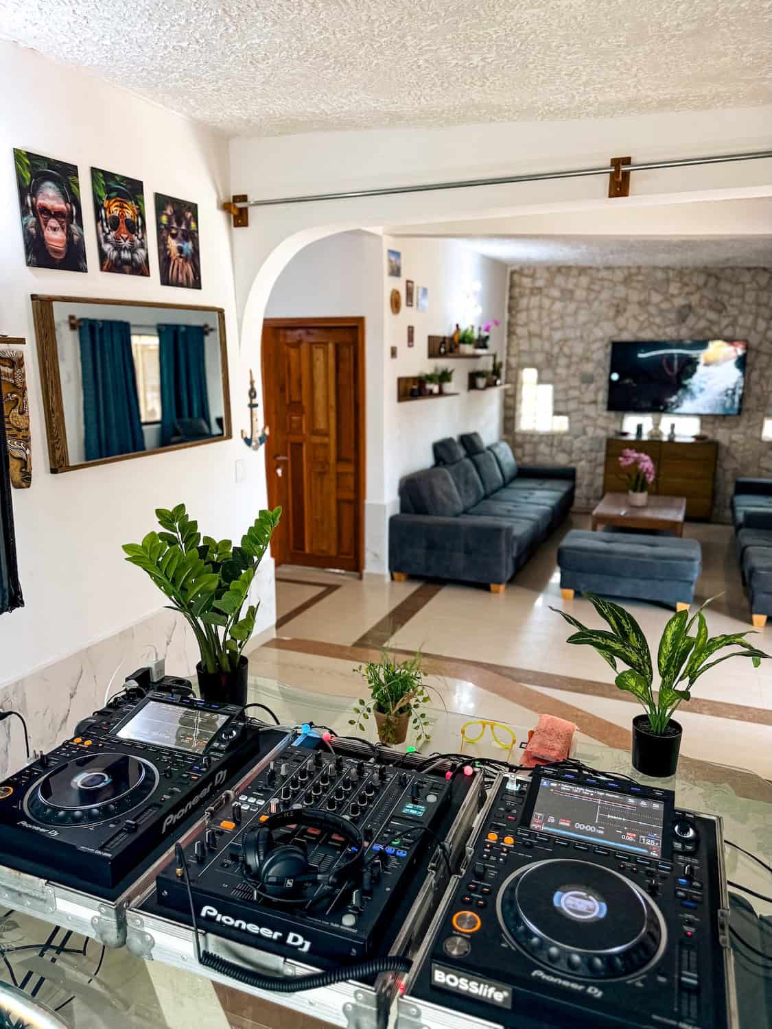 Interiér pokoje s DJ technikou, rostlinami a pohodlným posezením.