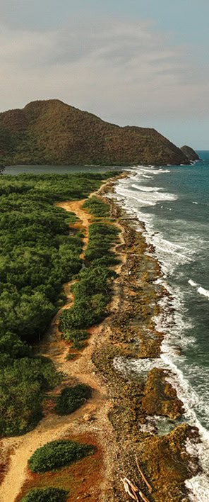 Pobřeží a přírodní scenérie na ostrově Patanemo, ideální místo pro relaxaci a objevování přírody. Dovolená snů ve Venezuele.