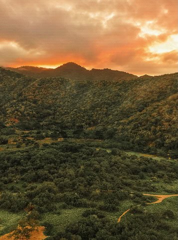 Přírodní krajina s kopci a zelenými lesy při západu slunce v Planet Patanemo. Your Dream Holiday in Venezuela.