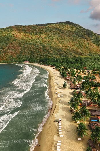 Pláž Planet Patanemo s písečným pobřežím a palmami, ideální pro odpočinek a vodní sporty.