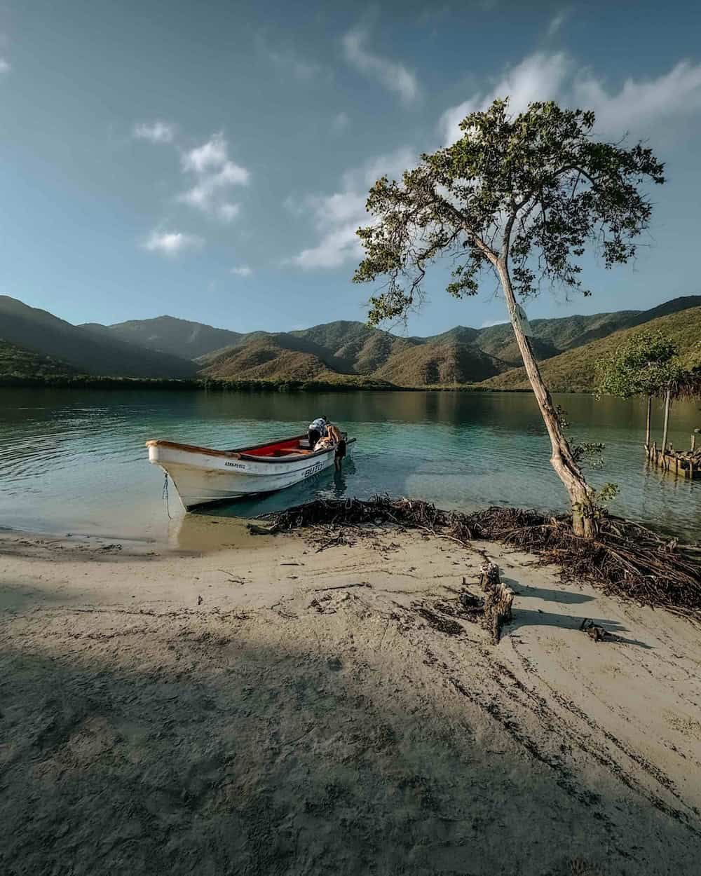Pohled na klidné jezero s lodí, stromem a horami v pozadí.